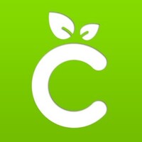 Cricut Machine Setup