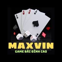 MAXVIN 