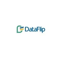 Data Flip