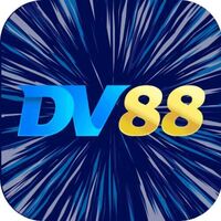 DV 88 