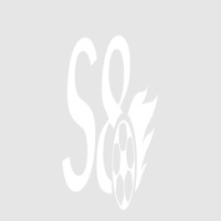 S8 