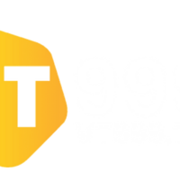 Vt999 Tips