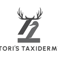 Tori's  Taxidermy