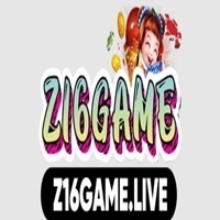 Z16 