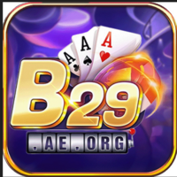 B29 Club
