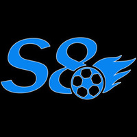 S 8