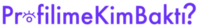 Profilime Kim Baktı