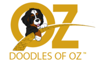 Doodles of Oz