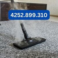 Hire THA carpet cleaners west Seattle, WA, USA