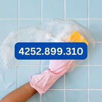 Hire THA chores cleaning Seattle, WA, USA