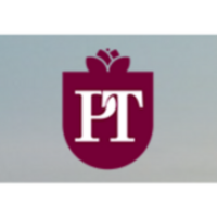 Professional tax services