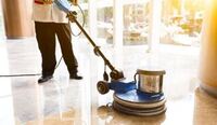 Ever Clean TX