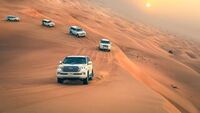 evening desert safari
