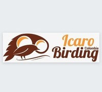 Icaro Birding
