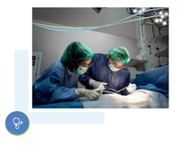 gynaecology and oncology