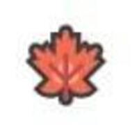Linen Shirts Canada