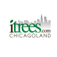 iTrees