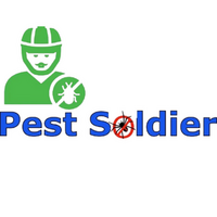 Pest Soldier