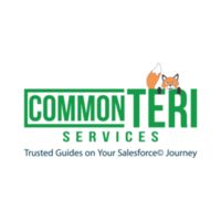 CommonTeri Services